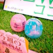 ヒメ日記 2025/03/01 16:02 投稿 みゆう◆上品清楚な美形☆ エピソード倉敷