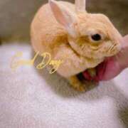 ヒメ日記 2025/03/05 07:24 投稿 みゆう◆上品清楚な美形☆ エピソード倉敷