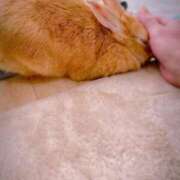 ヒメ日記 2025/03/07 21:54 投稿 みゆう◆上品清楚な美形☆ エピソード倉敷