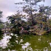 ヒメ日記 2025/03/12 07:27 投稿 みゆう◆上品清楚な美形☆ エピソード倉敷