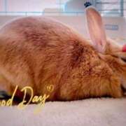 ヒメ日記 2025/03/26 08:30 投稿 みゆう◆上品清楚な美形☆ エピソード倉敷