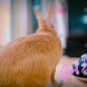 ヒメ日記 2025/04/25 04:29 投稿 みゆう◆上品清楚な美形☆ エピソード倉敷