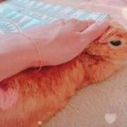 ヒメ日記 2025/05/16 05:53 投稿 みゆう◆上品清楚な美形☆ エピソード倉敷