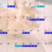 ヒメ日記 2025/05/30 07:56 投稿 みゆう◆上品清楚な美形☆ エピソード倉敷