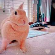 ヒメ日記 2025/06/27 09:58 投稿 みゆう◆上品清楚な美形☆ エピソード倉敷