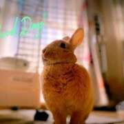 ヒメ日記 2025/08/27 07:22 投稿 みゆう◆上品清楚な美形☆ エピソード倉敷