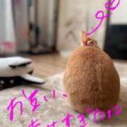 ヒメ日記 2025/12/10 20:25 投稿 みゆう◆上品清楚な美形☆ エピソード倉敷