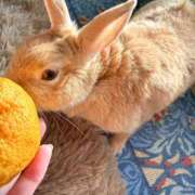 みゆう◆上品清楚な美形☆ 出勤しました☺️ エピソード倉敷