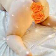 ヒメ日記 2025/12/12 11:06 投稿 桃谷まほ 大阪ぽっちゃり妻