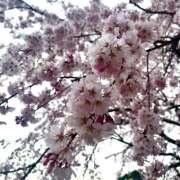 ヒメ日記 2025/03/31 17:59 投稿 新川 ちえ 京都ホットポイント