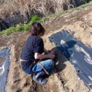 ヒメ日記 2025/04/17 10:32 投稿 浅田 熟女の風俗最終章 新横浜店