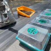 ヒメ日記 2025/05/13 07:31 投稿 浅田 熟女の風俗最終章 新横浜店