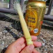 ヒメ日記 2025/05/21 05:46 投稿 浅田 熟女の風俗最終章 新横浜店