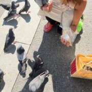 ヒメ日記 2025/07/29 10:17 投稿 浅田 熟女の風俗最終章 新横浜店