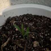 ヒメ日記 2025/08/27 21:26 投稿 浅田 熟女の風俗最終章 新横浜店