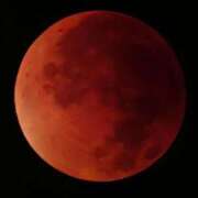 ヒメ日記 2025/09/08 11:02 投稿 浅田 熟女の風俗最終章 新横浜店