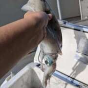 ヒメ日記 2025/10/24 10:21 投稿 浅田 熟女の風俗最終章 新横浜店