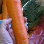 ヒメ日記 2026/01/29 12:28 投稿 浅田 熟女の風俗最終章 新横浜店