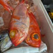 ヒメ日記 2026/01/30 14:37 投稿 浅田 熟女の風俗最終章 新横浜店