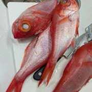 ヒメ日記 2026/02/04 08:56 投稿 浅田 熟女の風俗最終章 新横浜店