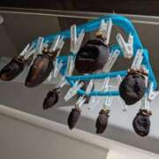 ヒメ日記 2026/02/20 05:06 投稿 浅田 熟女の風俗最終章 新横浜店