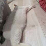 ヒメ日記 2026/02/26 13:26 投稿 浅田 熟女の風俗最終章 新横浜店