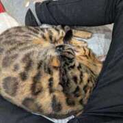 浅田 動けない（泣） 熟女の風俗最終章 新横浜店