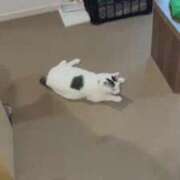 ヒメ日記 2026/03/23 13:21 投稿 浅田 熟女の風俗最終章 新横浜店