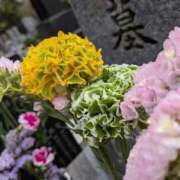 ヒメ日記 2026/04/06 10:26 投稿 浅田 熟女の風俗最終章 新横浜店