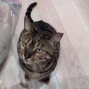 ヒメ日記 2026/04/21 09:26 投稿 浅田 熟女の風俗最終章 新横浜店