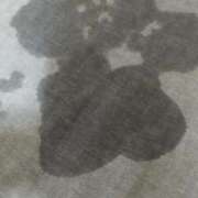 ヒメ日記 2025/02/01 05:12 投稿 しゅん Bijou R