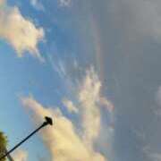 ヒメ日記 2025/10/01 17:43 投稿 しゅん Bijou R