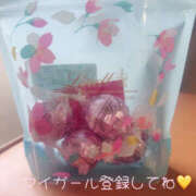 ヒメ日記 2025/05/21 18:46 投稿 橋口真由美 Matriarch(マトリアルカ)