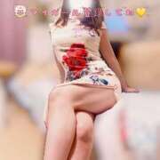 ヒメ日記 2025/07/26 16:51 投稿 橋口真由美 Matriarch(マトリアルカ)