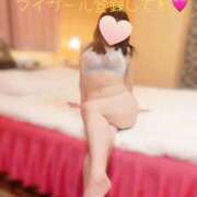 ヒメ日記 2025/08/01 20:16 投稿 橋口真由美 Matriarch(マトリアルカ)