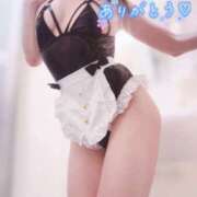 ヒメ日記 2025/11/14 23:17 投稿 橋口真由美 Matriarch(マトリアルカ)