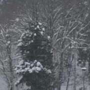 ヒメ日記 2024/12/20 21:40 投稿 りこ G-SPOT