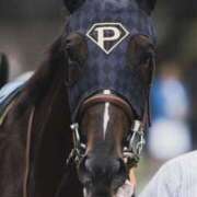 ヒメ日記 2024/12/28 12:11 投稿 りこ G-SPOT