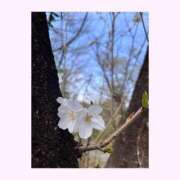 ヒメ日記 2025/03/31 08:49 投稿 りこ G-SPOT