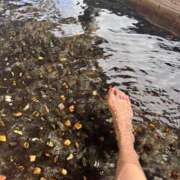 ヒメ日記 2025/04/02 19:01 投稿 りこ G-SPOT