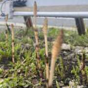 ヒメ日記 2025/04/26 12:28 投稿 りこ G-SPOT