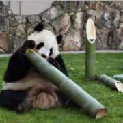 ヒメ日記 2025/05/22 17:29 投稿 りこ G-SPOT