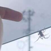 ヒメ日記 2025/06/25 14:58 投稿 りこ G-SPOT