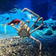 ヒメ日記 2025/06/28 02:27 投稿 りこ G-SPOT