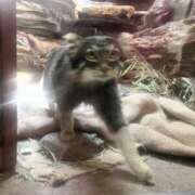 ヒメ日記 2025/07/26 02:31 投稿 りこ G-SPOT