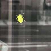 ヒメ日記 2025/08/03 21:09 投稿 りこ G-SPOT