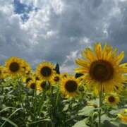 ヒメ日記 2025/08/15 12:50 投稿 りこ G-SPOT