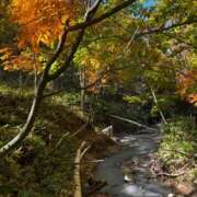 ヒメ日記 2025/10/24 16:14 投稿 りこ G-SPOT