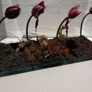 ヒメ日記 2025/11/16 23:44 投稿 りこ G-SPOT