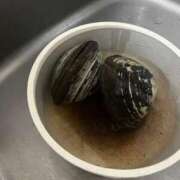 ヒメ日記 2025/12/13 11:12 投稿 りこ G-SPOT